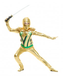 Toddler Gold Ninja Avengers Series III Costume