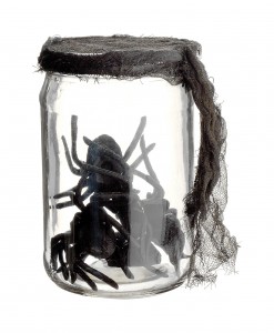 5.5 Inch Glass Jar w/spiders