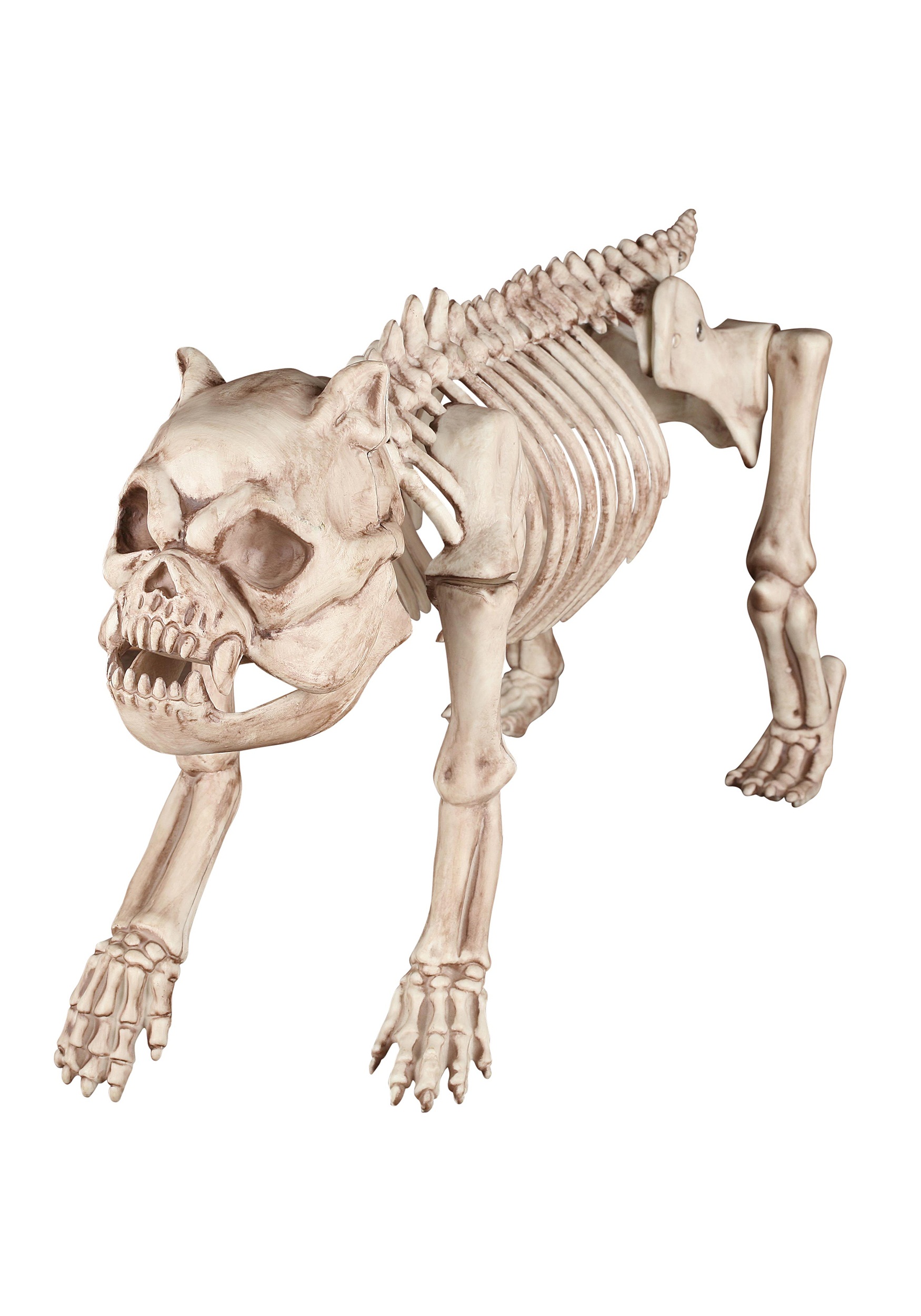 Bones the Hungry Hound Skeleton Dog - Halloween Costume Ideas 2024