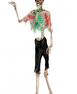 Posable Zombie Skeleton