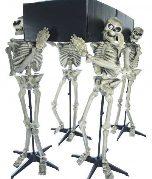 Skeleton Pall Bearers