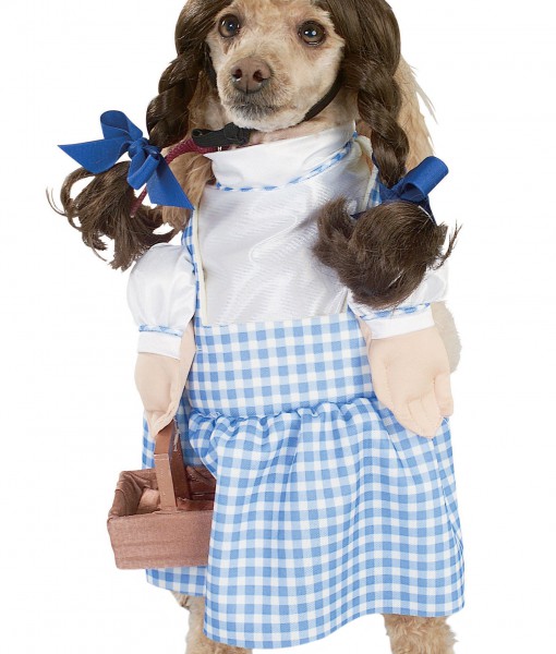 Dorothy Dog Costume