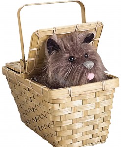 Deluxe Toto with Basket