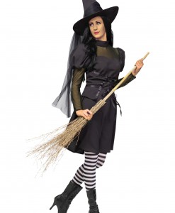 Adult Ms. Witch Costume