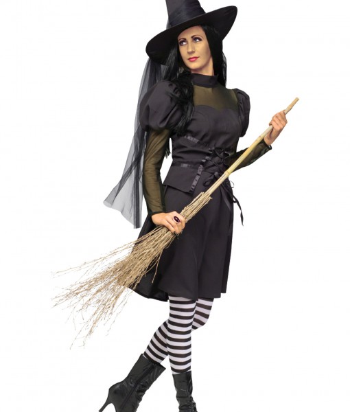 Adult Ms. Witch Costume