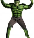 Adult Avengers Hulk Muscle Costume
