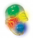 Light Up Indiana Jones Crystal Skull
