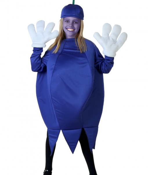 Child Blueberry Costume