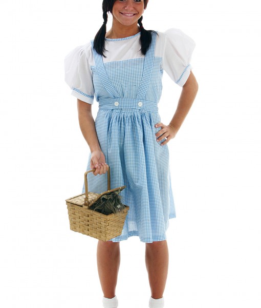 Adult Kansas Girl Costume Dress