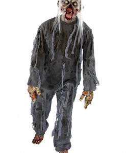 Adult Rotting Costume