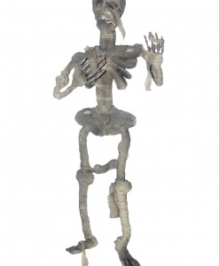 Hanging Mummified Skeleton