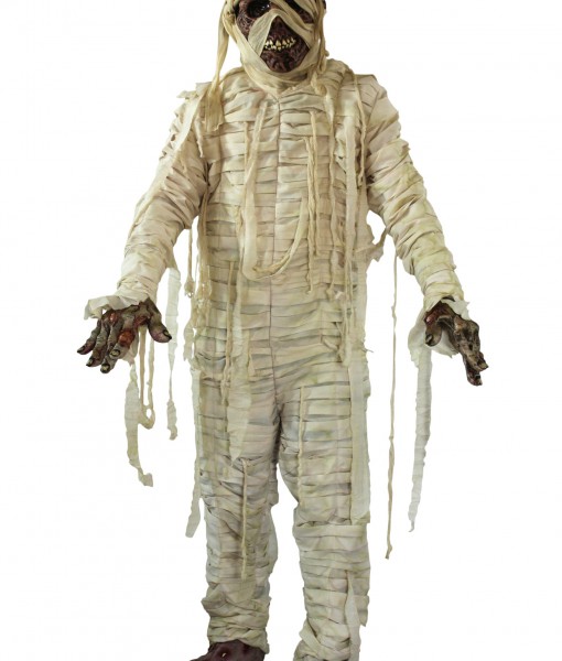 Adult Mummified Costume