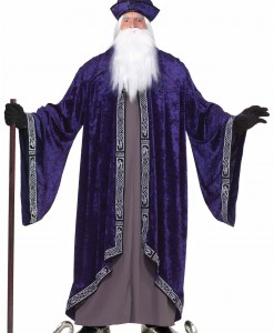 Plus Size Grand Wizard Costume