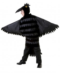 Child Crow Costume