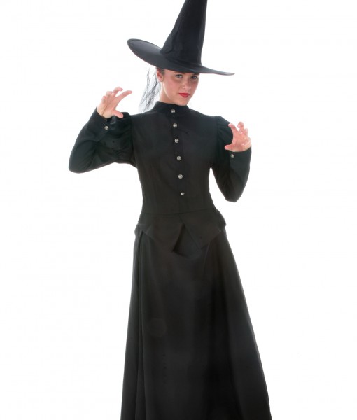 Womens Plus Size Witch Costume