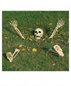 5 Piece Buried Alive Skeleton Kit