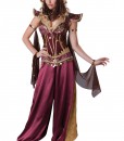 Desert Jewel Genie Costume