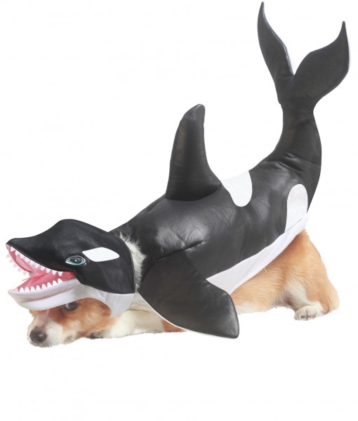 Pet Orca Costume