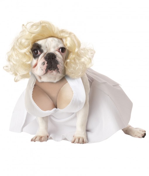 Pet Marilyn Monroe Costume