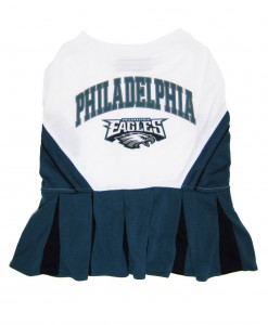 Philadelphia Eagles Dog Cheerleader Outfit