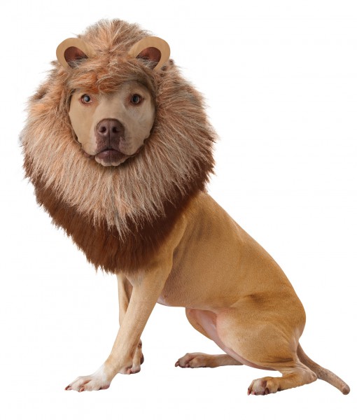 Lion Pet Costume