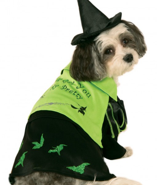 Wicked Witch of the West Pet Costume