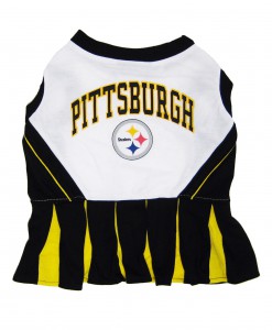 Pittsburgh Steelers Dog Cheerleader Outfit