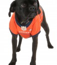 Denver Broncos Dog Mesh Jersey