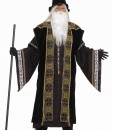 Deluxe Wizard Adult Costume