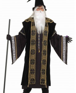 Deluxe Wizard Adult Costume