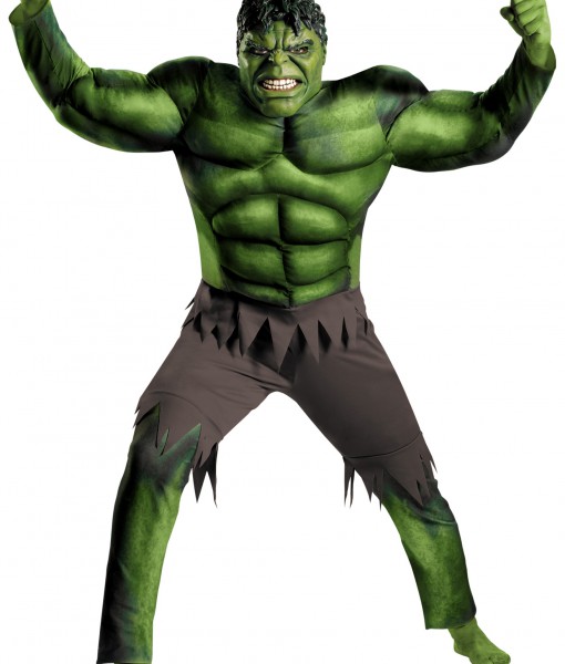 Plus Size Avengers Hulk Muscle Costume