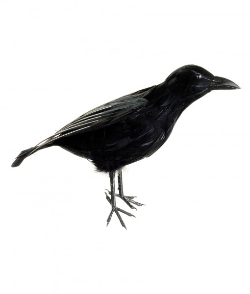15 Inch Crow Prop
