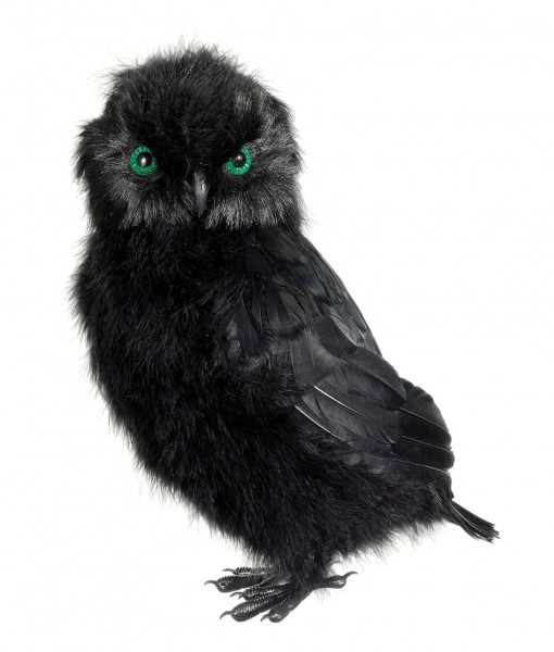 14 Inch Black Owl