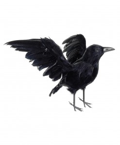 13 Inch Glittered Crow