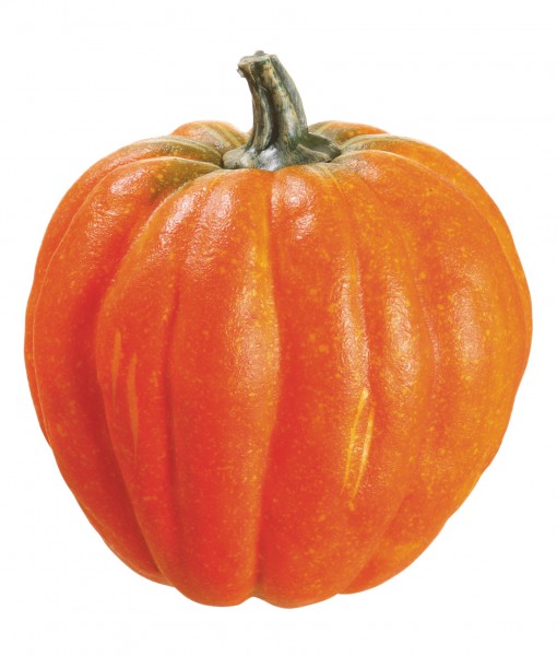 6 Inch Weighted Pumpkin