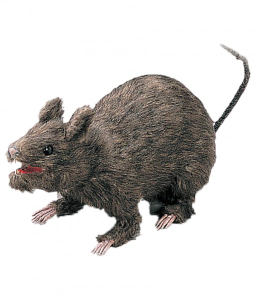 Realistic Large Attacking Rat