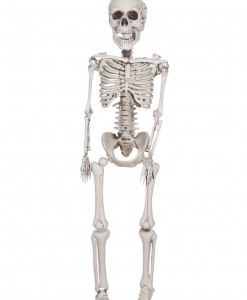 12 Inch Plastic Realistic Skeleton