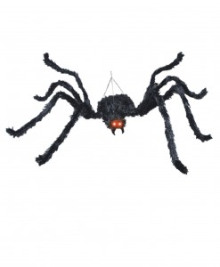 Animated Black Spider