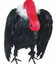 Vulture with Head Down Prop