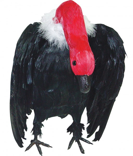 Vulture with Head Down Prop