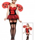 Ladybug Lady Costume