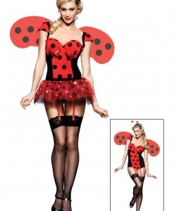 Ladybug Lady Costume