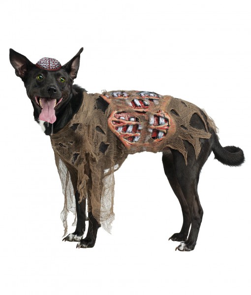 Zombie Dog Costume