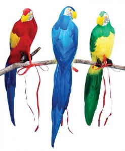 20 Parrot Assorted