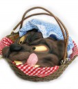 Basket with Wolf's Head