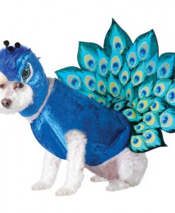 Peacock Pet Costume