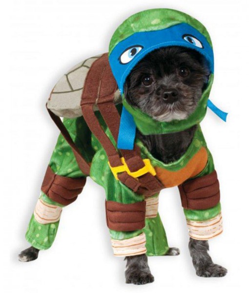 TMNT - Leonardo Pet Costume