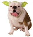 Yoda Dog Headpiece