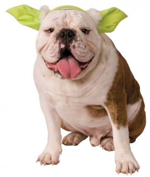 Yoda Dog Headpiece