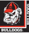 Georgia Bulldogs - Lunch Napkins (20 count)